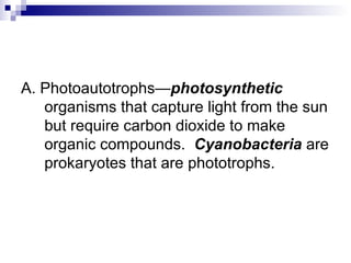 A. Photoautotrophs— photosynthetic  organisms that capture light from the sun but require carbon dioxide to make organic compounds.  Cyanobacteria  are prokaryotes that are phototrophs.  