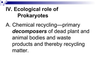 IV.   Ecological role of Prokaryotes A. Chemical recycling—primary  decomposers  of dead plant and animal bodies and waste products and thereby recycling matter. 