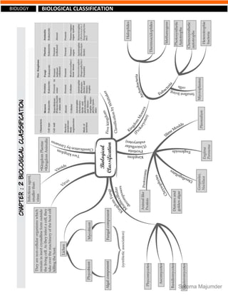 CBSE Grade 11 Science(Biology) Ch 2 Biological Classification Notes | PDF