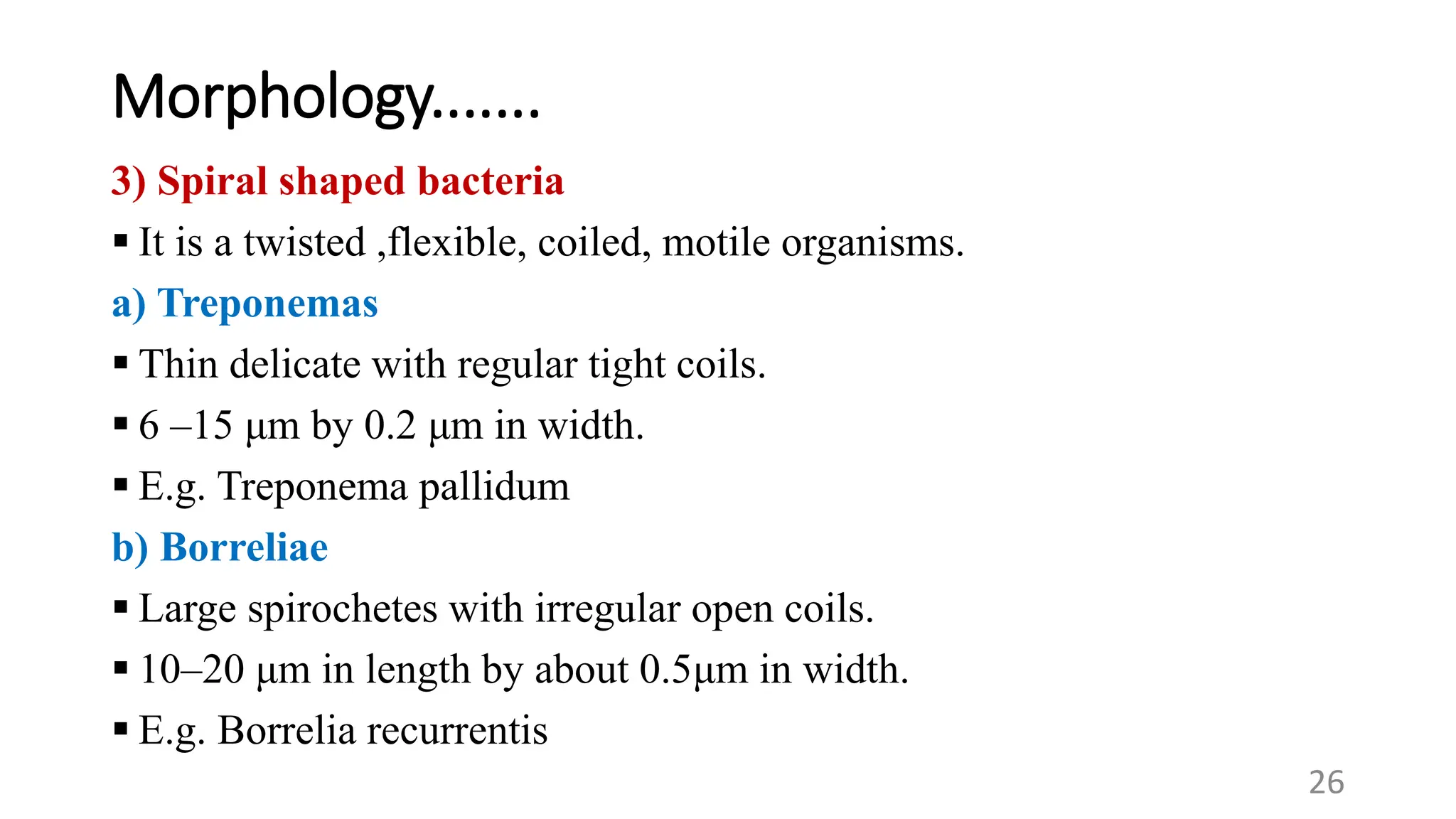 Morphology.......
3) Spiral shaped bacteria
 It is a twisted ,flexible, coiled, motile organisms.
a) Treponemas
 Thin delicate with regular tight coils.
 6 –15 μm by 0.2 μm in width.
 E.g. Treponema pallidum
b) Borreliae
 Large spirochetes with irregular open coils.
 10–20 μm in length by about 0.5μm in width.
 E.g. Borrelia recurrentis
26
 