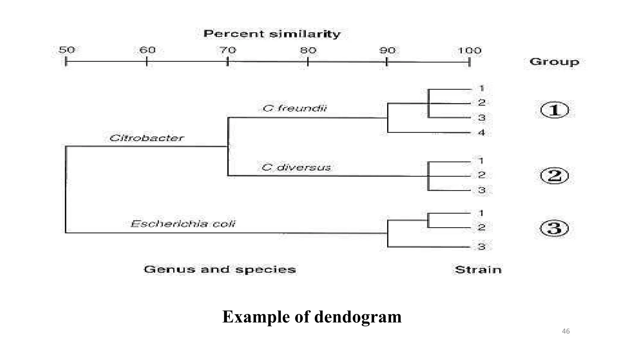 Example of dendogram
46
 