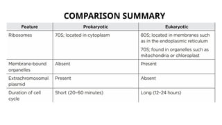 Comprehensive Overview of Prokaryotic and Eukaryotic Cells: Structure ...