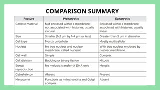 Comprehensive Overview of Prokaryotic and Eukaryotic Cells: Structure ...