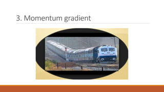 3. Momentum gradient
 