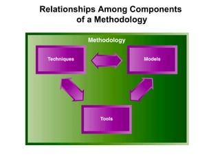 Relationships Among Components  of a Methodology 