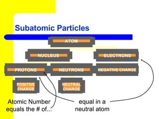 Subatomic Particles NUCLEUS ELECTRONS PROTONS NEUTRONS NEGATIVE CHARGE POSITIVE CHARGE NEUTRAL CHARGE ATOM Atomic Number equals the # of... equal in a neutral atom 