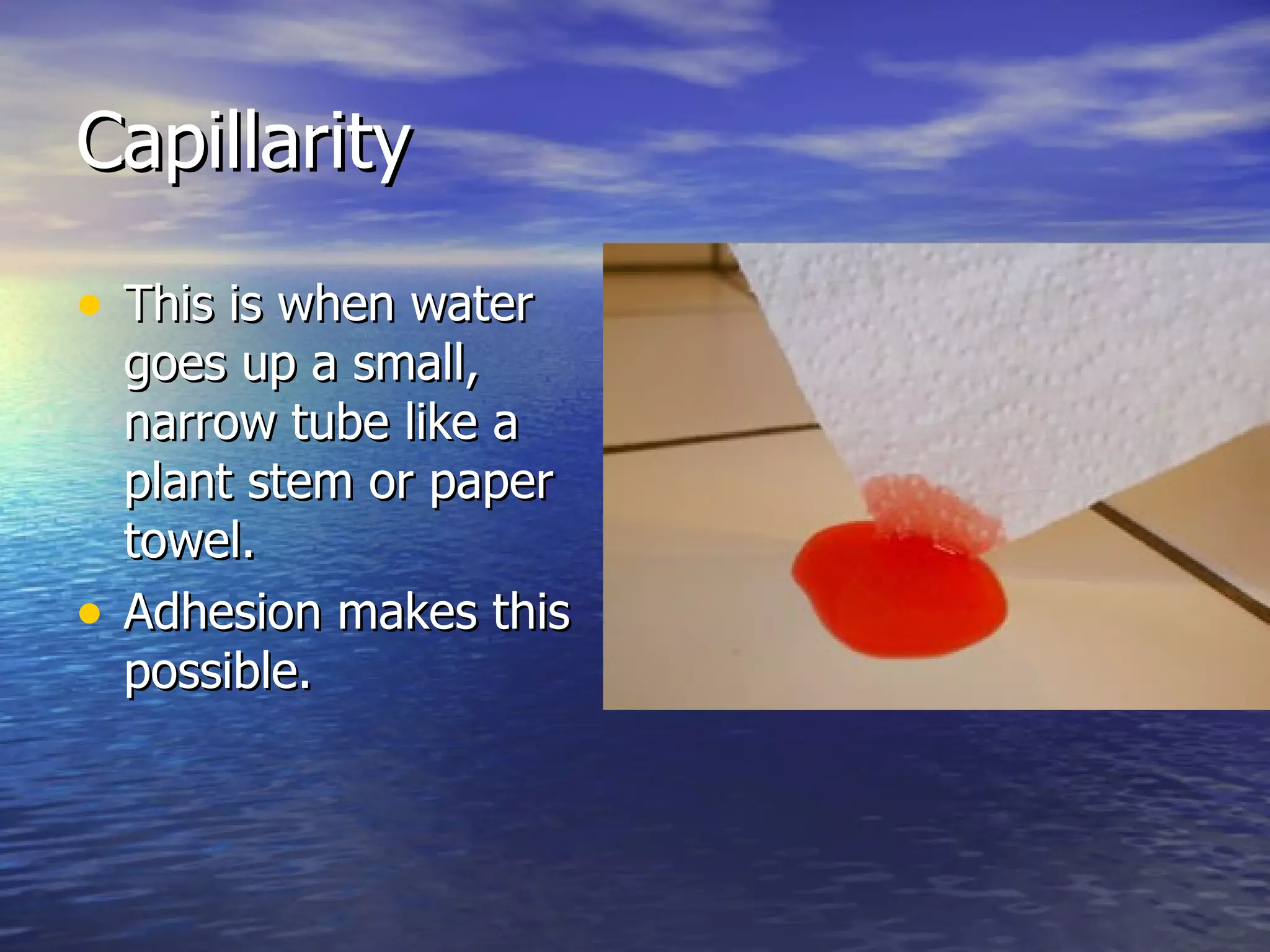 Capillarity This is when water goes up a small, narrow tube like a plant stem or paper towel. Adhesion makes this possible. 