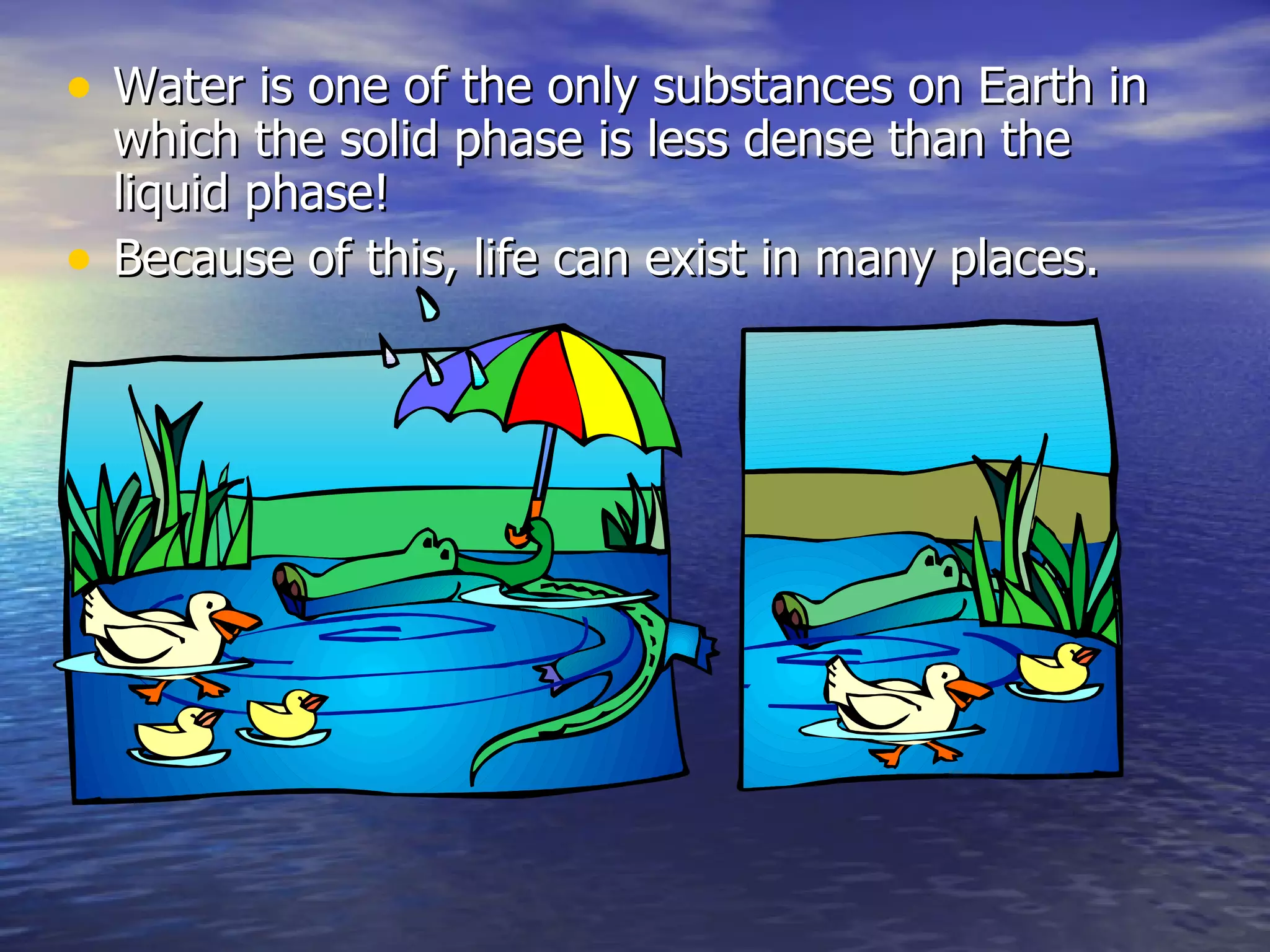 Water is one of the only substances on Earth in which the solid phase is less dense than the liquid phase! Because of this, life can exist in many places. 