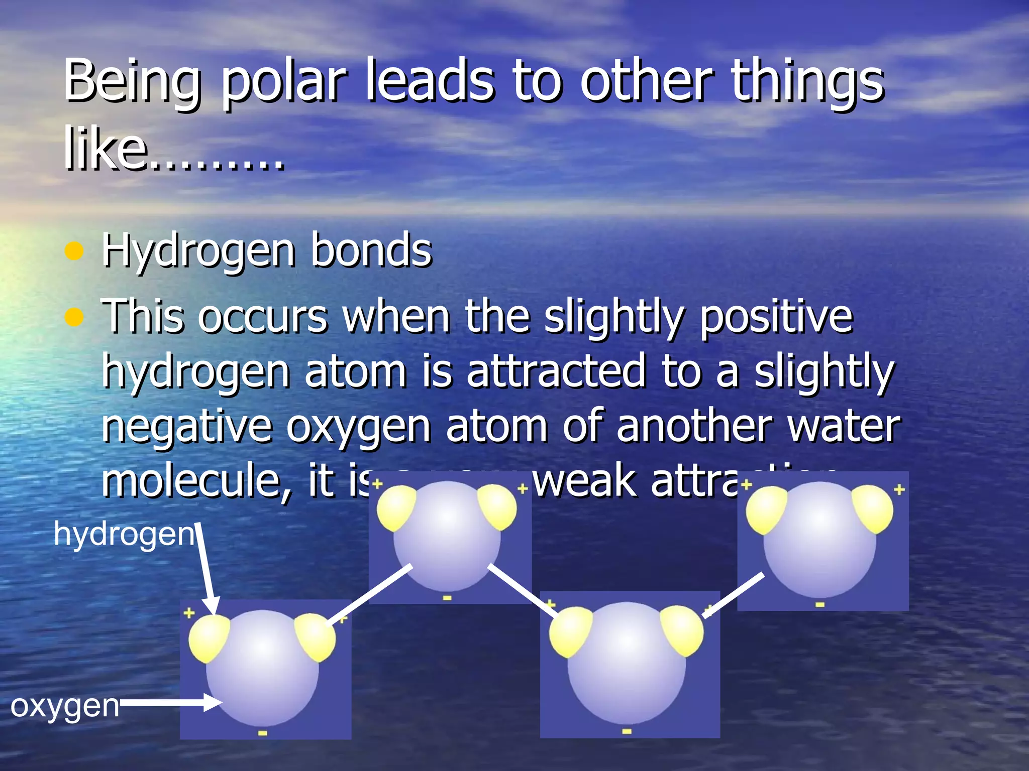 Being polar leads to other things like……… Hydrogen bonds This occurs when the slightly positive hydrogen atom is attracted to a slightly negative oxygen atom of another water molecule, it is a very weak attraction. hydrogen oxygen 