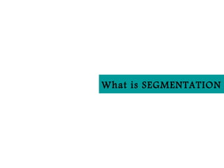 What is SEGMENTATION
 