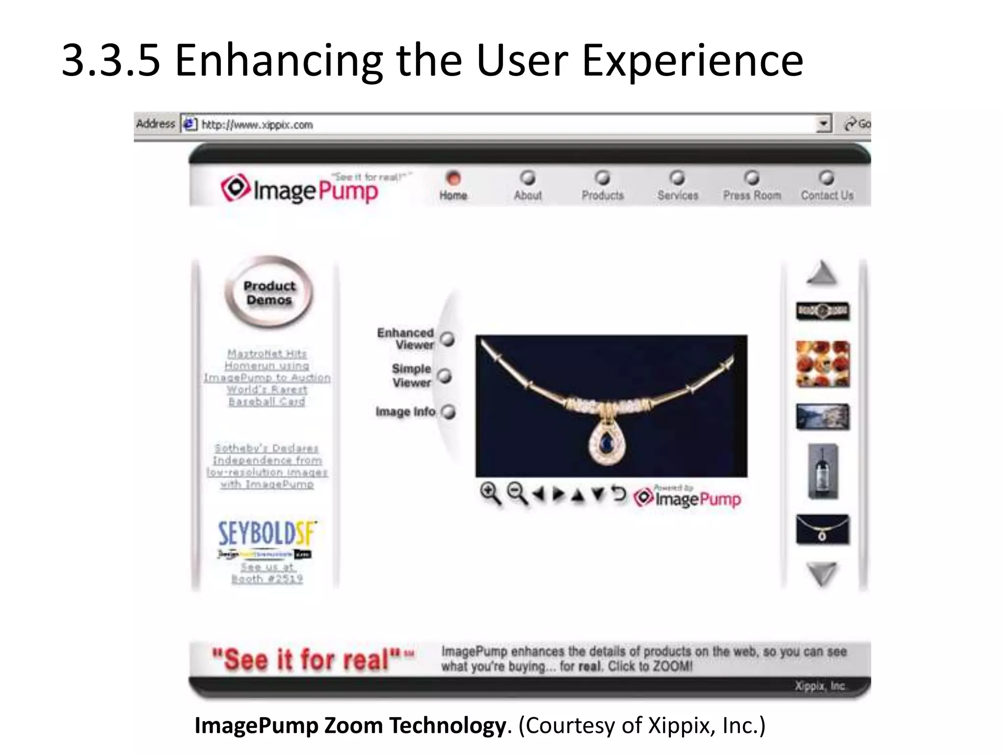 3.3.5 Enhancing the User Experience
ImagePump Zoom Technology. (Courtesy of Xippix, Inc.)
 