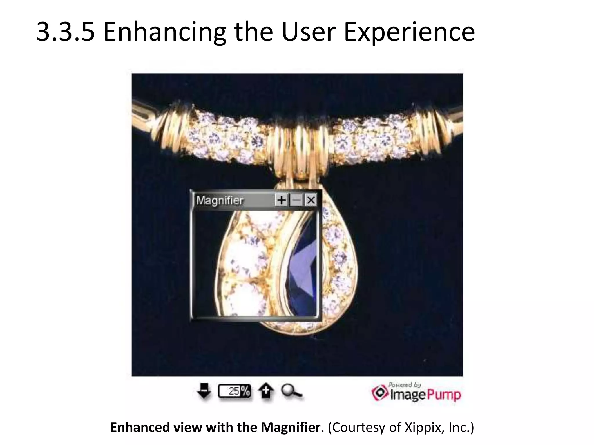 3.3.5 Enhancing the User Experience
Enhanced view with the Magnifier. (Courtesy of Xippix, Inc.)
 