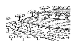 Methods of Irrigation