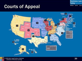Courts of Appeal 