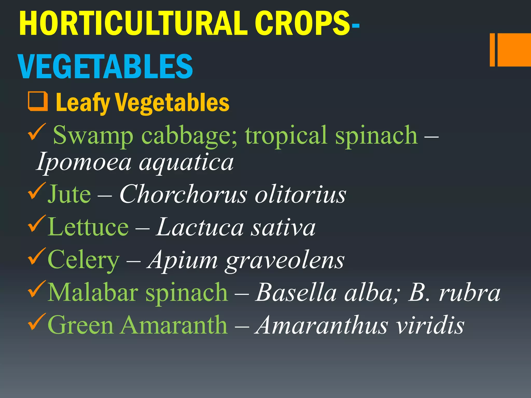 HORTICULTURAL CROPS-
VEGETABLES
 Leafy Vegetables
 Swamp cabbage; tropical spinach –
Ipomoea aquatica
Jute – Chorchorus olitorius
Lettuce – Lactuca sativa
Celery – Apium graveolens
Malabar spinach – Basella alba; B. rubra
Green Amaranth – Amaranthus viridis
 
