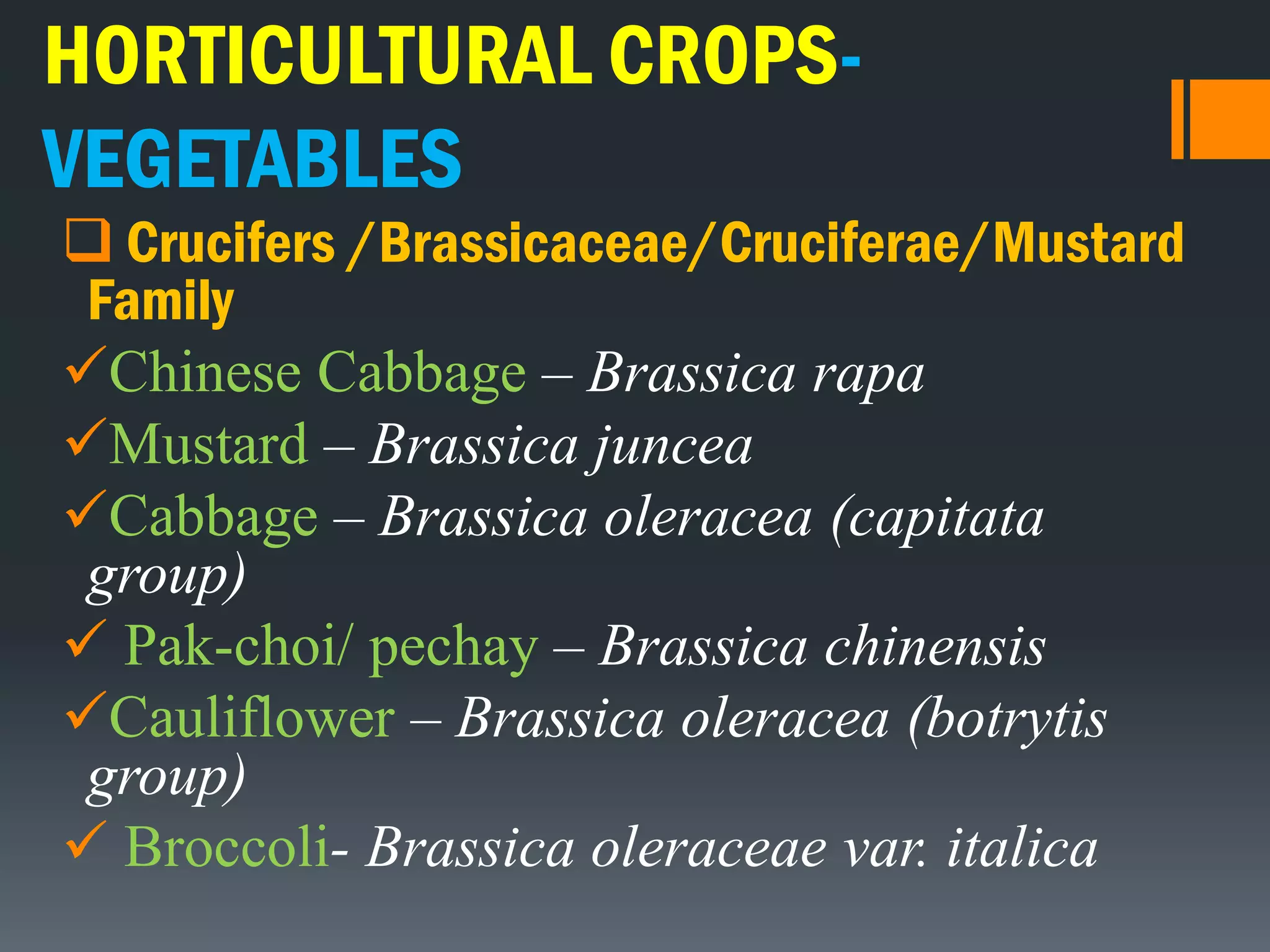 HORTICULTURAL CROPS-
VEGETABLES
 Crucifers /Brassicaceae/Cruciferae/Mustard
Family
Chinese Cabbage – Brassica rapa
Mustard – Brassica juncea
Cabbage – Brassica oleracea (capitata
group)
 Pak-choi/ pechay – Brassica chinensis
Cauliflower – Brassica oleracea (botrytis
group)
 Broccoli- Brassica oleraceae var. italica
 