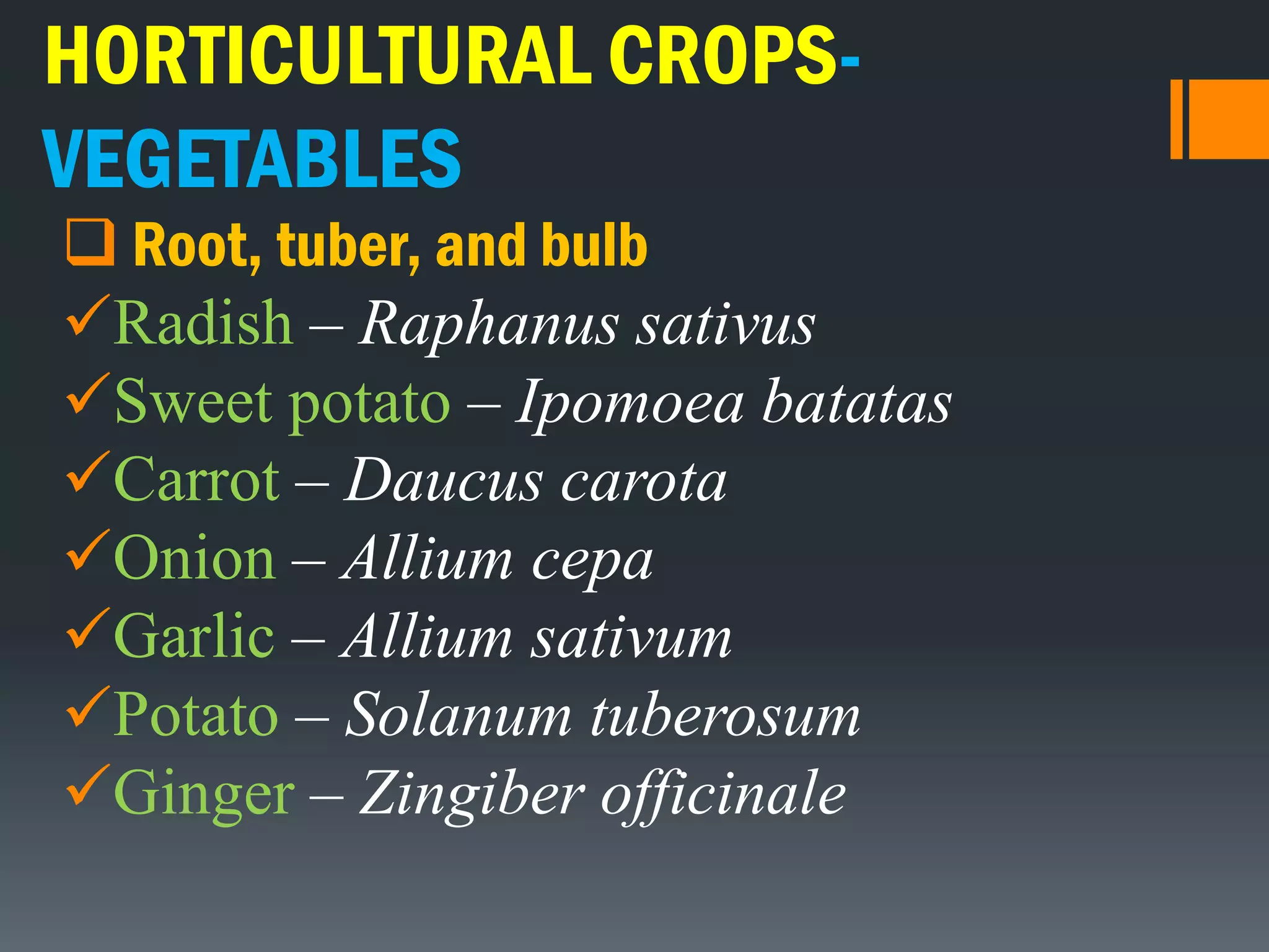 HORTICULTURAL CROPS-
VEGETABLES
 Root, tuber, and bulb
Radish – Raphanus sativus
Sweet potato – Ipomoea batatas
Carrot – Daucus carota
Onion – Allium cepa
Garlic – Allium sativum
Potato – Solanum tuberosum
Ginger – Zingiber officinale
 
