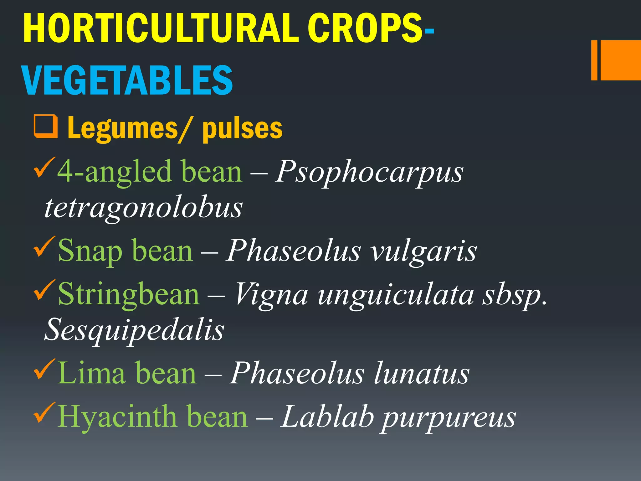 HORTICULTURAL CROPS-
VEGETABLES
 Legumes/ pulses
4-angled bean – Psophocarpus
tetragonolobus
Snap bean – Phaseolus vulgaris
Stringbean – Vigna unguiculata sbsp.
Sesquipedalis
Lima bean – Phaseolus lunatus
Hyacinth bean – Lablab purpureus
 
