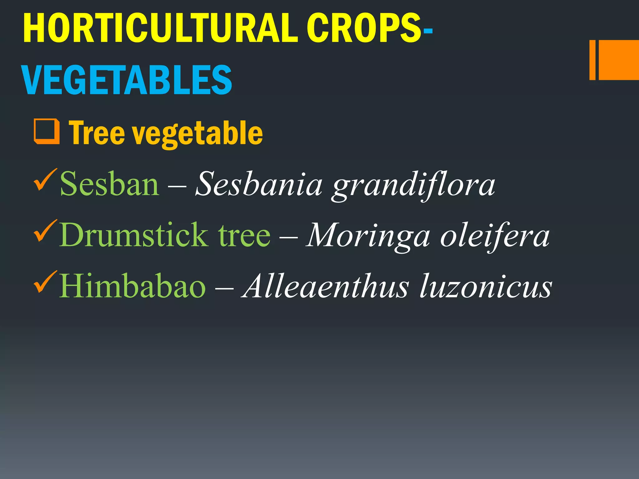 HORTICULTURAL CROPS-
VEGETABLES
 Tree vegetable
Sesban – Sesbania grandiflora
Drumstick tree – Moringa oleifera
Himbabao – Alleaenthus luzonicus
 