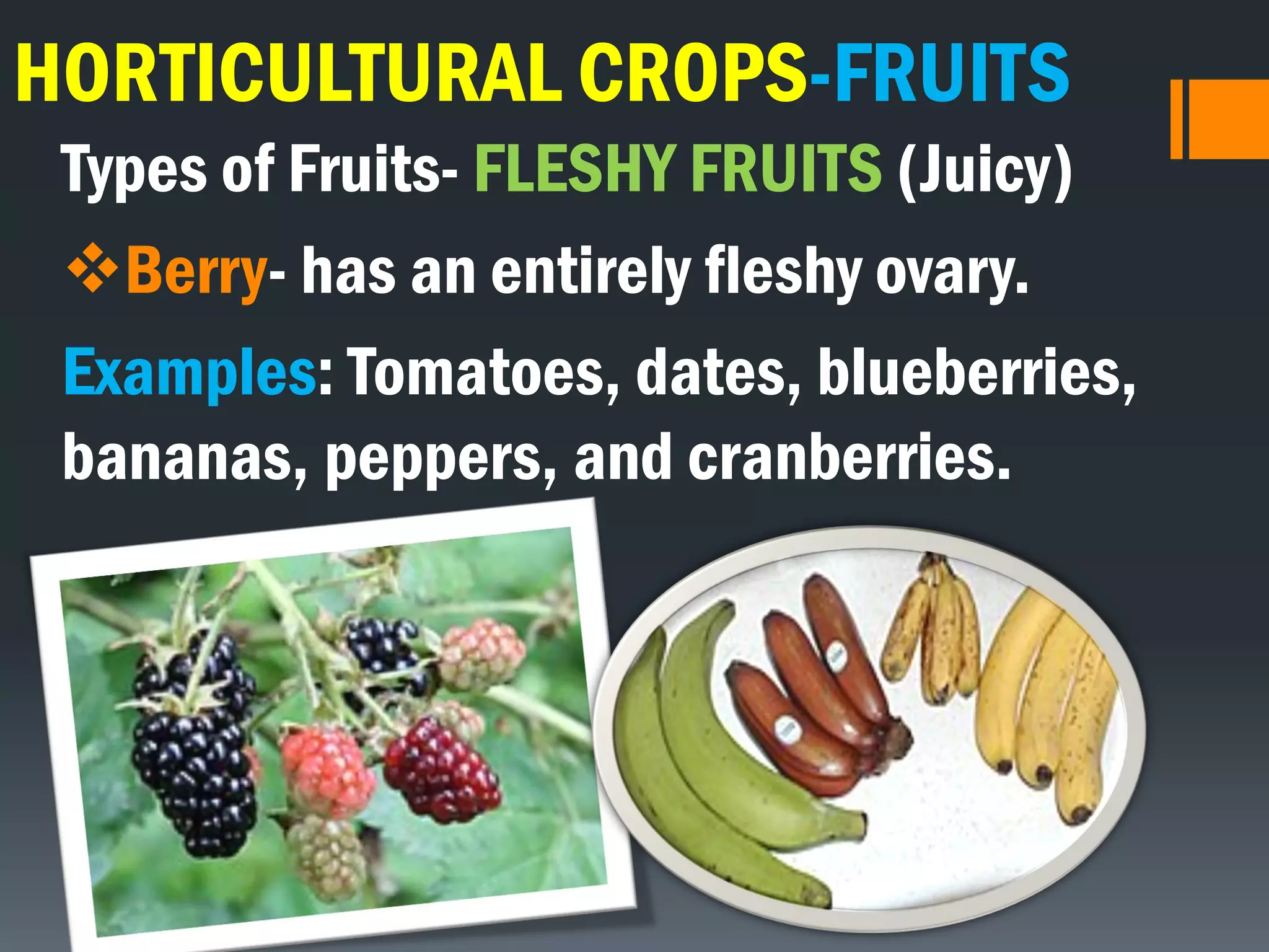 HORTICULTURAL CROPS-FRUITS
Types of Fruits- FLESHY FRUITS (Juicy)
Berry- has an entirely fleshy ovary.
Examples: Tomatoes, dates, blueberries,
bananas, peppers, and cranberries.
 
