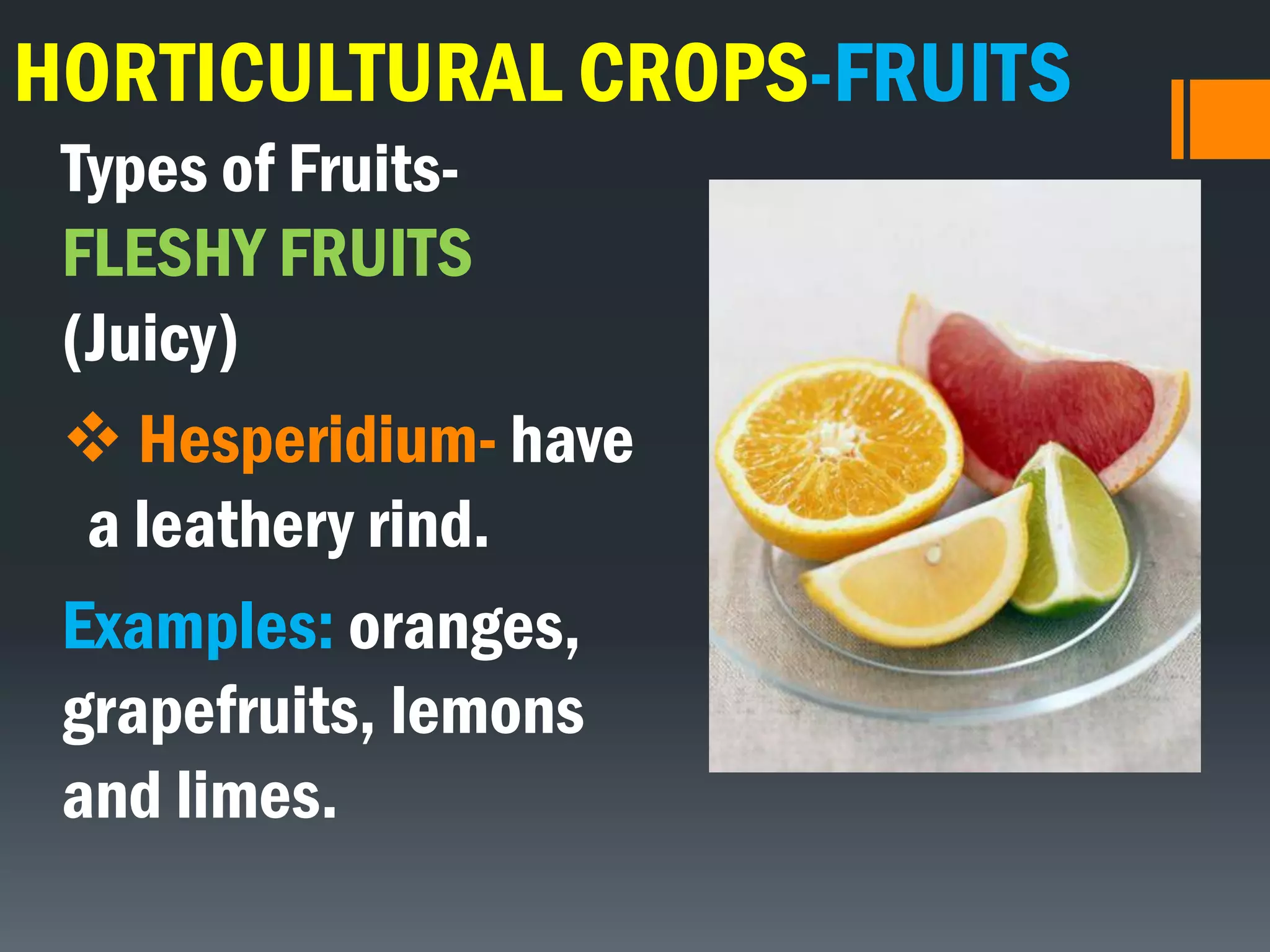 HORTICULTURAL CROPS-FRUITS
Types of Fruits-
FLESHY FRUITS
(Juicy)
 Hesperidium- have
a leathery rind.
Examples: oranges,
grapefruits, lemons
and limes.
 