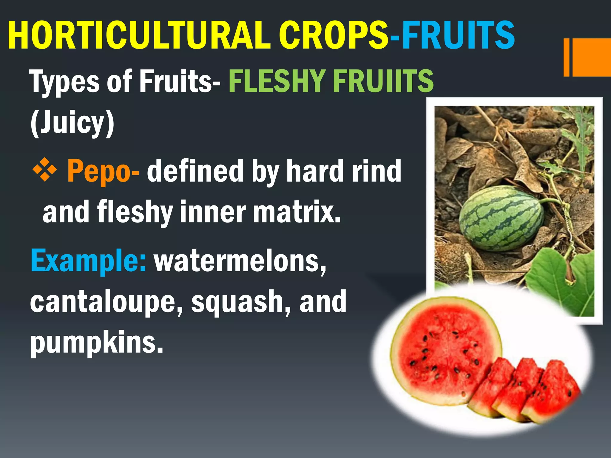 HORTICULTURAL CROPS-FRUITS
Types of Fruits- FLESHY FRUIITS
(Juicy)
 Pepo- defined by hard rind
and fleshy inner matrix.
Example: watermelons,
cantaloupe, squash, and
pumpkins.
 