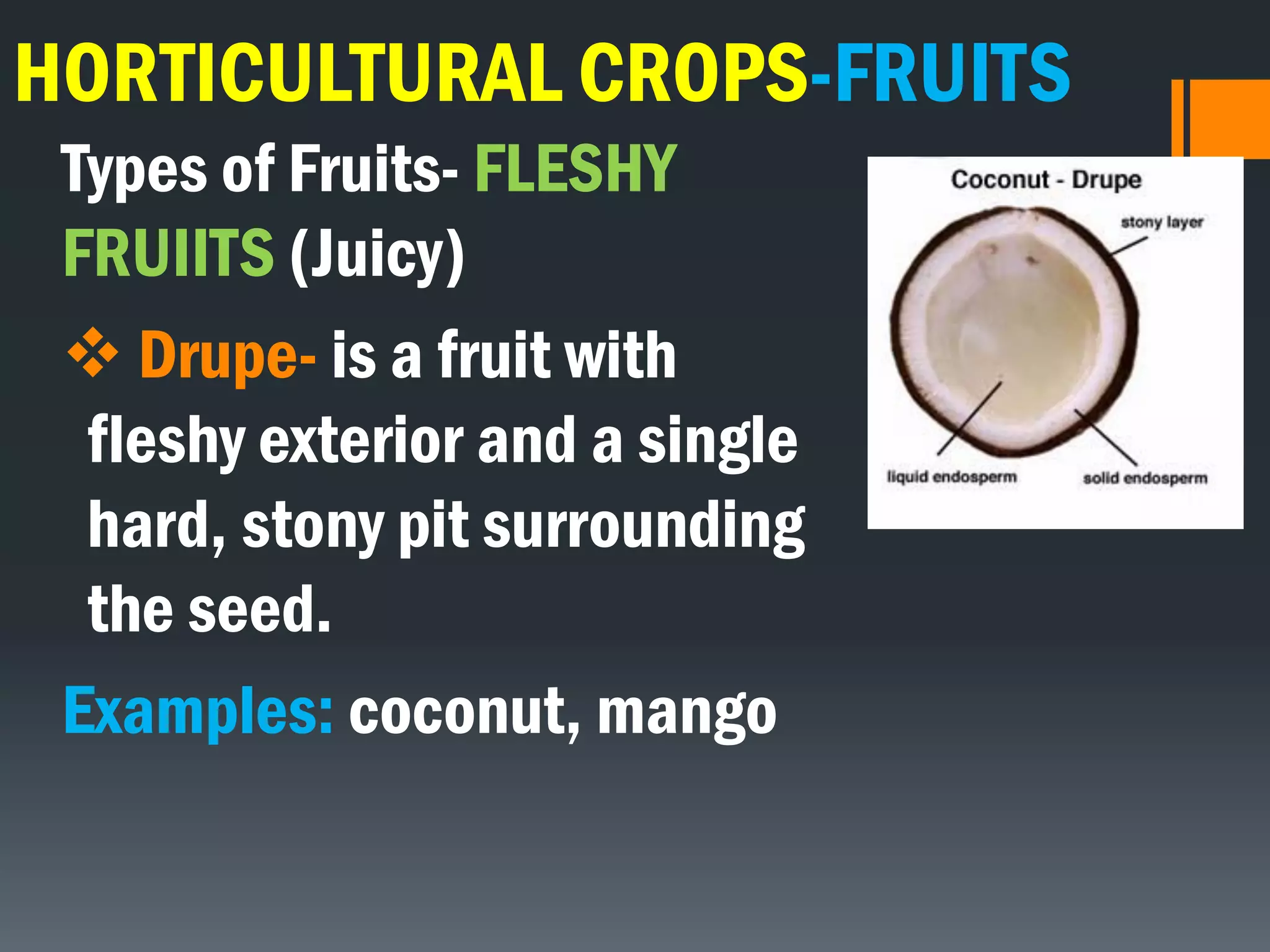 HORTICULTURAL CROPS-FRUITS
Types of Fruits- FLESHY
FRUIITS (Juicy)
 Drupe- is a fruit with
fleshy exterior and a single
hard, stony pit surrounding
the seed.
Examples: coconut, mango
 