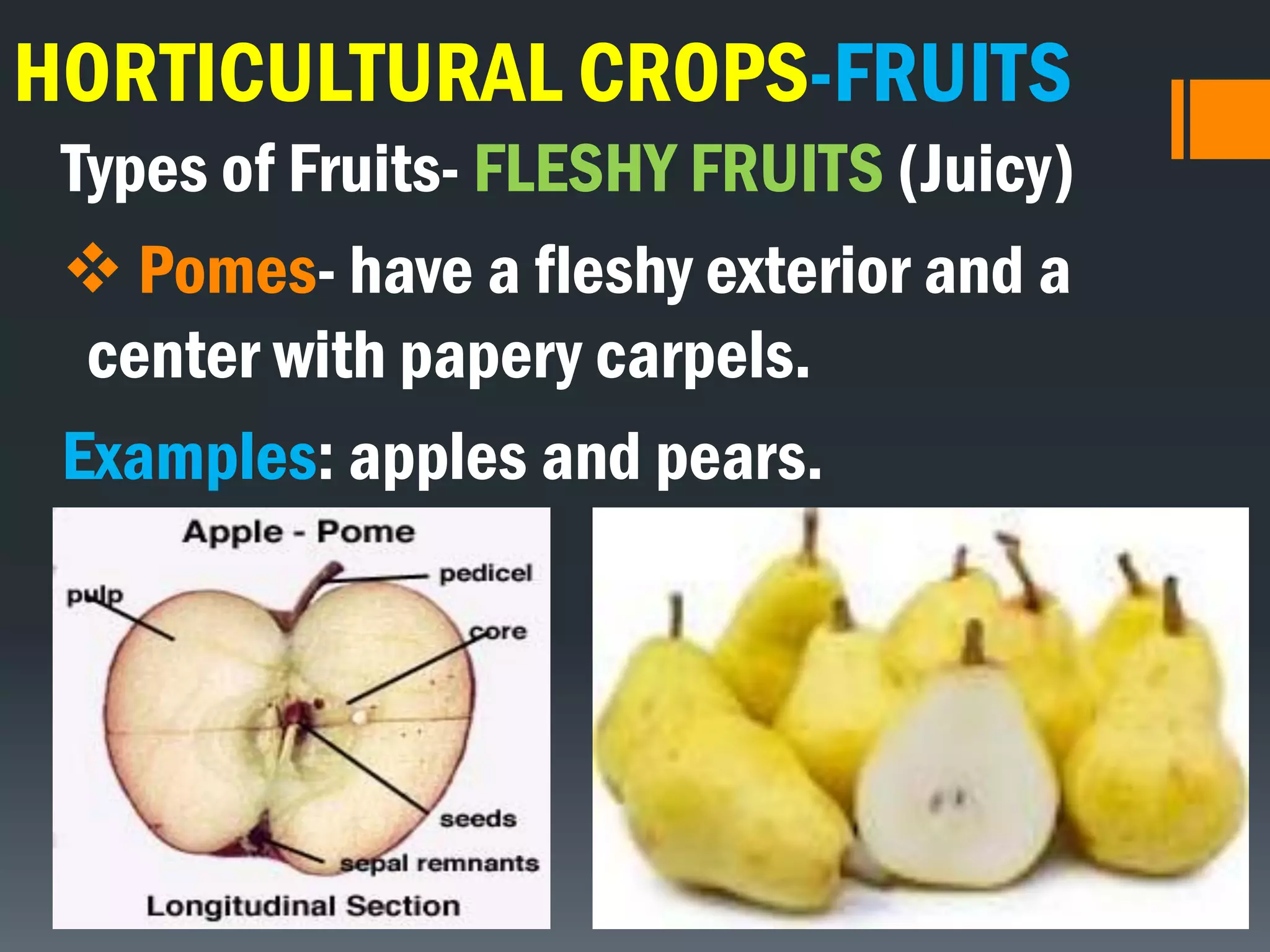 HORTICULTURAL CROPS-FRUITS
Types of Fruits- FLESHY FRUITS (Juicy)
 Pomes- have a fleshy exterior and a
center with papery carpels.
Examples: apples and pears.
 