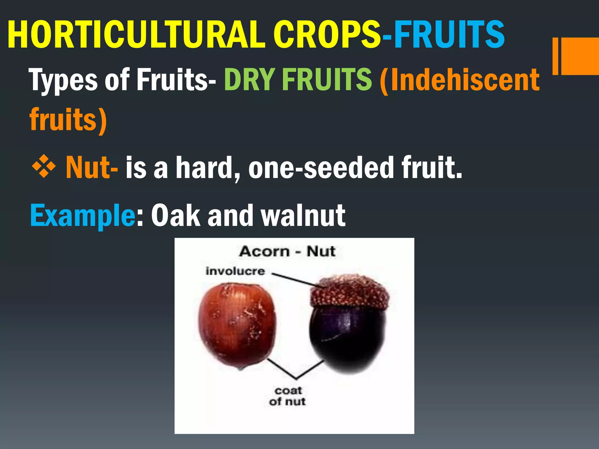 HORTICULTURAL CROPS-FRUITS
Types of Fruits- DRY FRUITS (Indehiscent
fruits)
 Nut- is a hard, one-seeded fruit.
Example: Oak and walnut
 