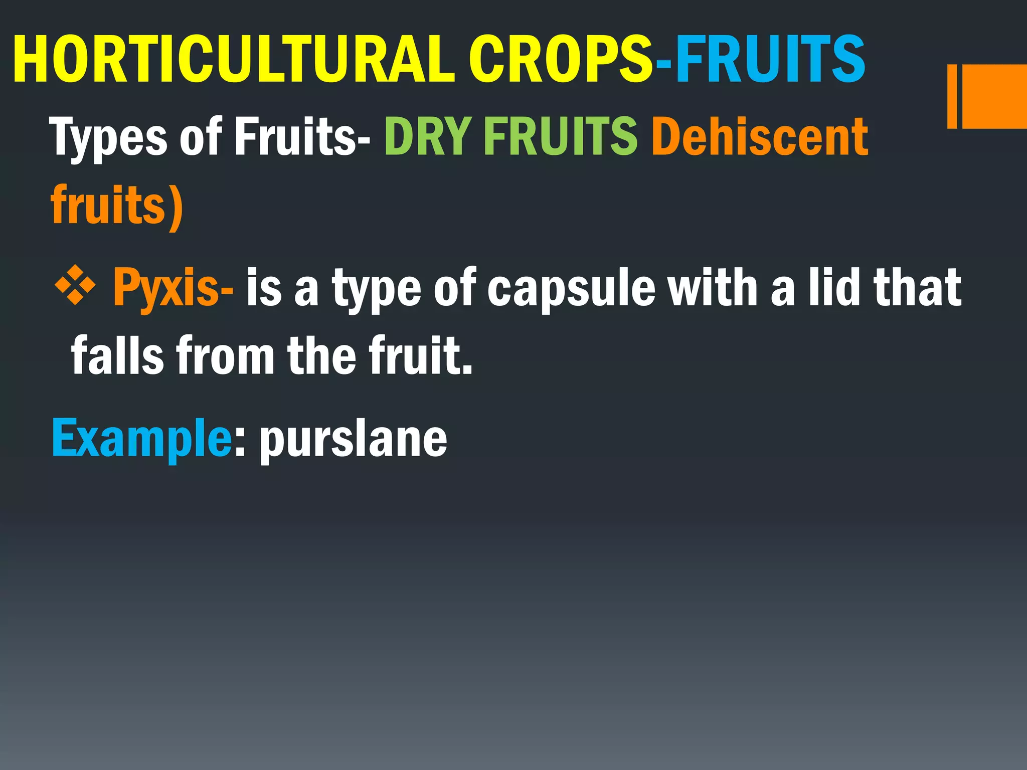 HORTICULTURAL CROPS-FRUITS
Types of Fruits- DRY FRUITS Dehiscent
fruits)
 Pyxis- is a type of capsule with a lid that
falls from the fruit.
Example: purslane
 
