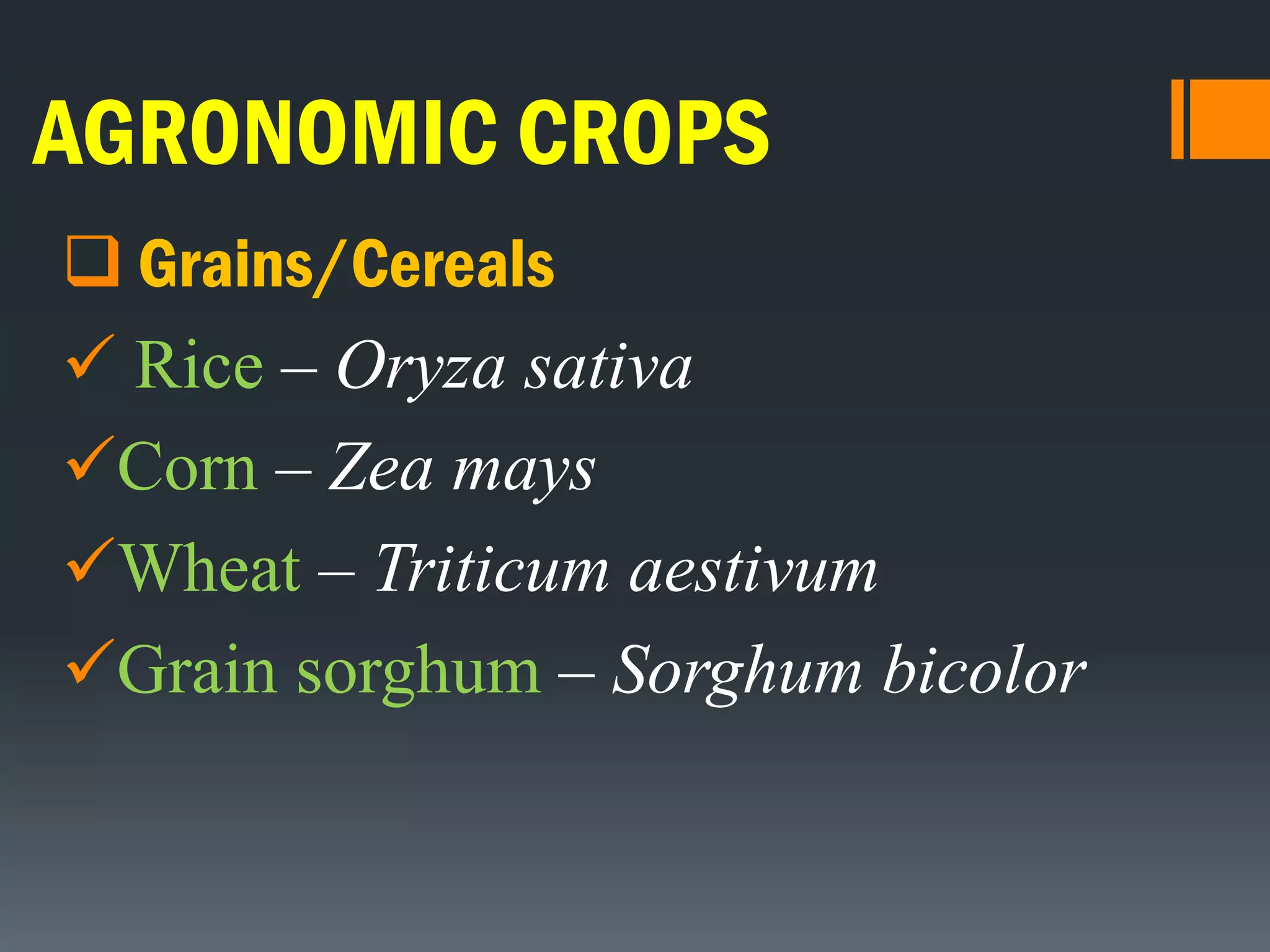 AGRONOMIC CROPS
 Grains/Cereals
 Rice – Oryza sativa
Corn – Zea mays
Wheat – Triticum aestivum
Grain sorghum – Sorghum bicolor
 