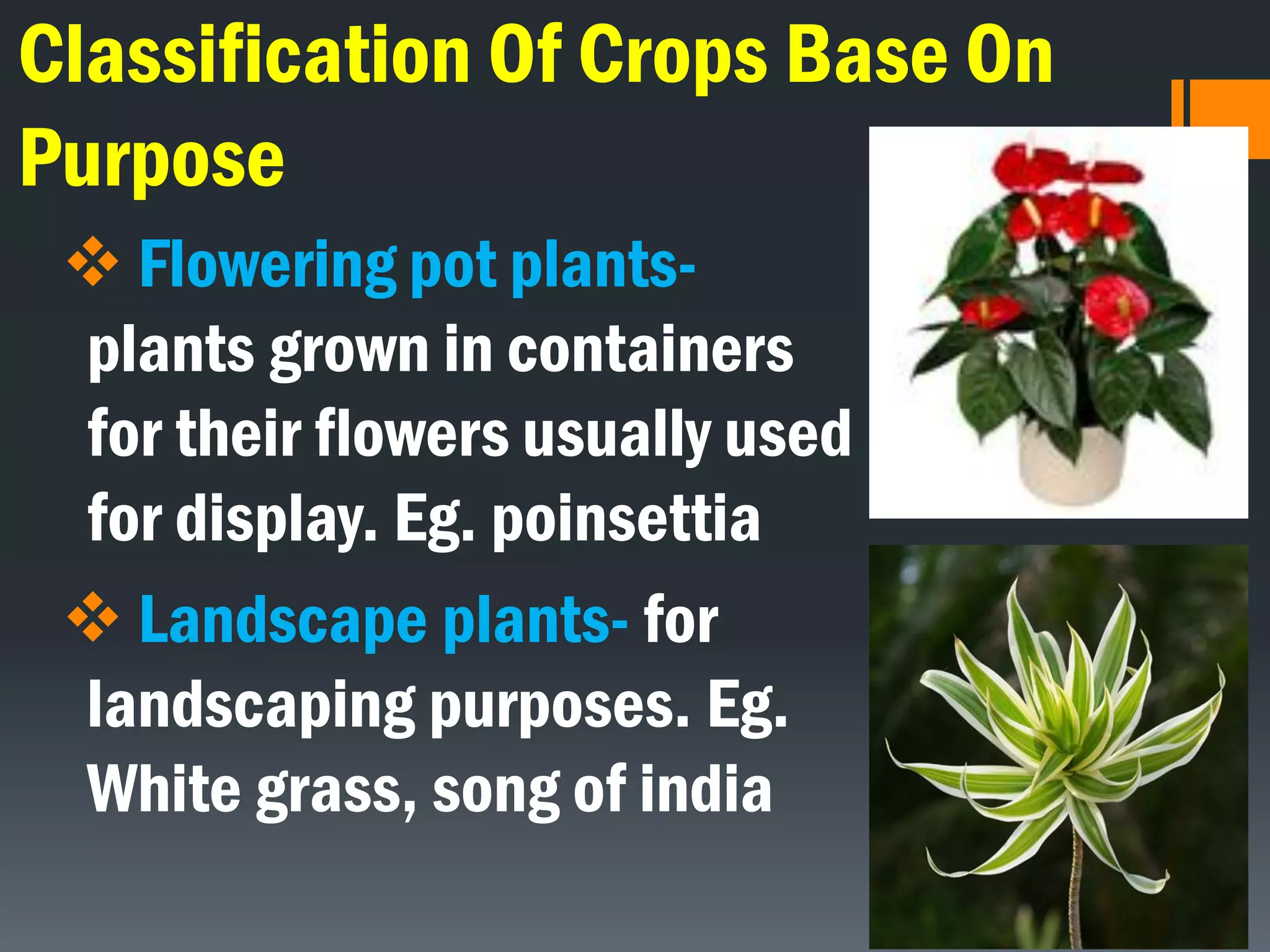 Classification Of Crops Base On
Purpose
 Flowering pot plants-
plants grown in containers
for their flowers usually used
for display. Eg. poinsettia
 Landscape plants- for
landscaping purposes. Eg.
White grass, song of india
 