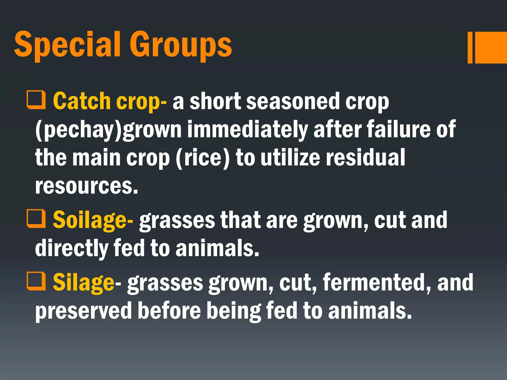 Special Groups
 Catch crop- a short seasoned crop
(pechay)grown immediately after failure of
the main crop (rice) to utilize residual
resources.
 Soilage- grasses that are grown, cut and
directly fed to animals.
 Silage- grasses grown, cut, fermented, and
preserved before being fed to animals.
 