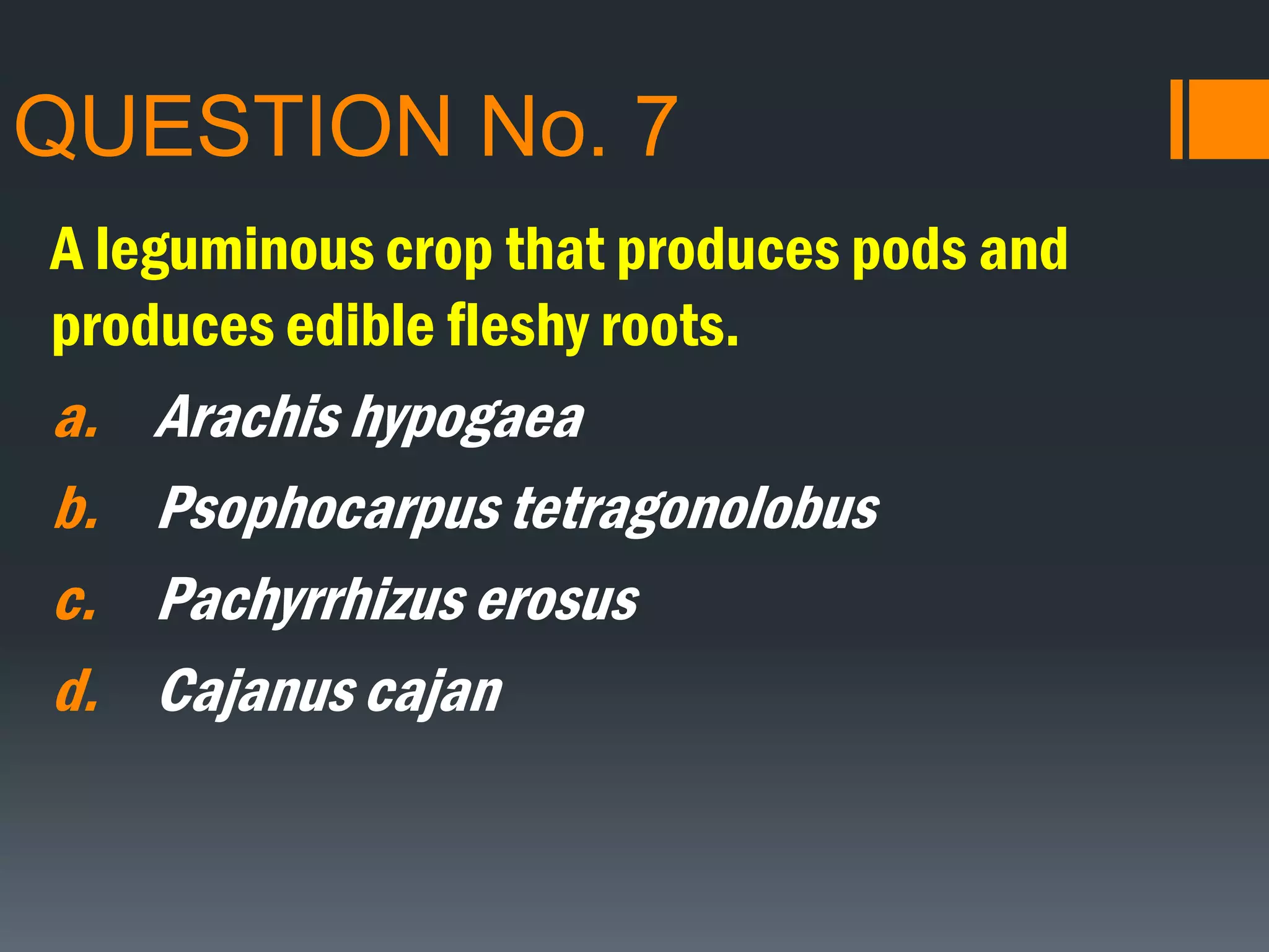 QUESTION No. 7
A leguminous crop that produces pods and
produces edible fleshy roots.
a. Arachis hypogaea
b. Psophocarpus tetragonolobus
c. Pachyrrhizus erosus
d. Cajanus cajan
 