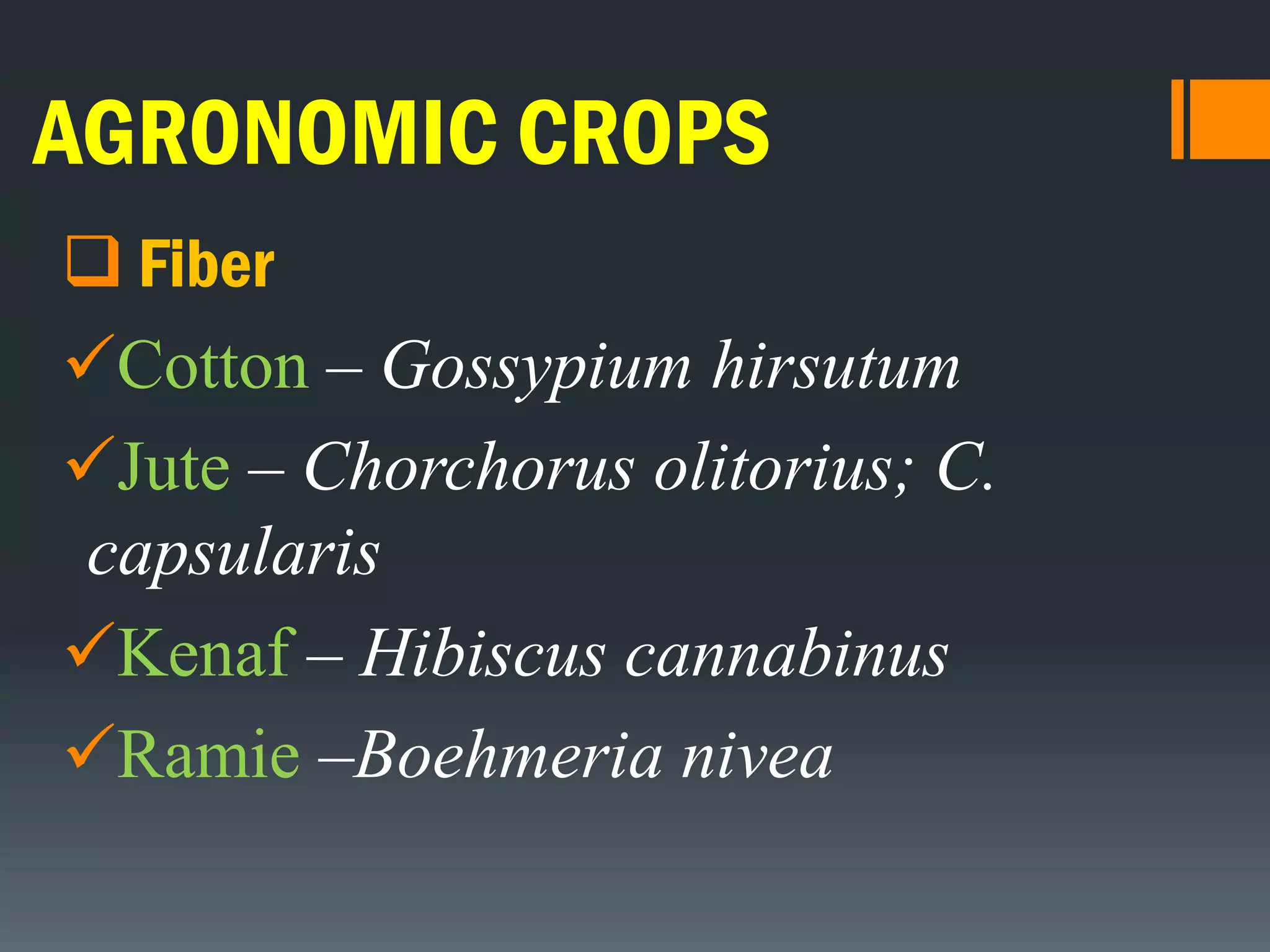 AGRONOMIC CROPS
 Fiber
Cotton – Gossypium hirsutum
Jute – Chorchorus olitorius; C.
capsularis
Kenaf – Hibiscus cannabinus
Ramie –Boehmeria nivea
 