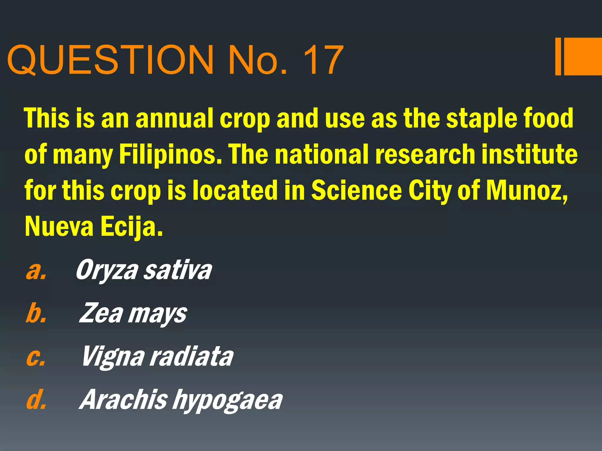 QUESTION No. 17
This is an annual crop and use as the staple food
of many Filipinos. The national research institute
for this crop is located in Science City of Munoz,
Nueva Ecija.
a. Oryza sativa
b. Zea mays
c. Vigna radiata
d. Arachis hypogaea
 