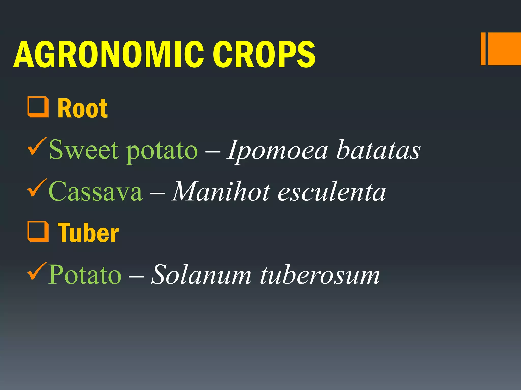 AGRONOMIC CROPS
 Root
Sweet potato – Ipomoea batatas
Cassava – Manihot esculenta
 Tuber
Potato – Solanum tuberosum
 