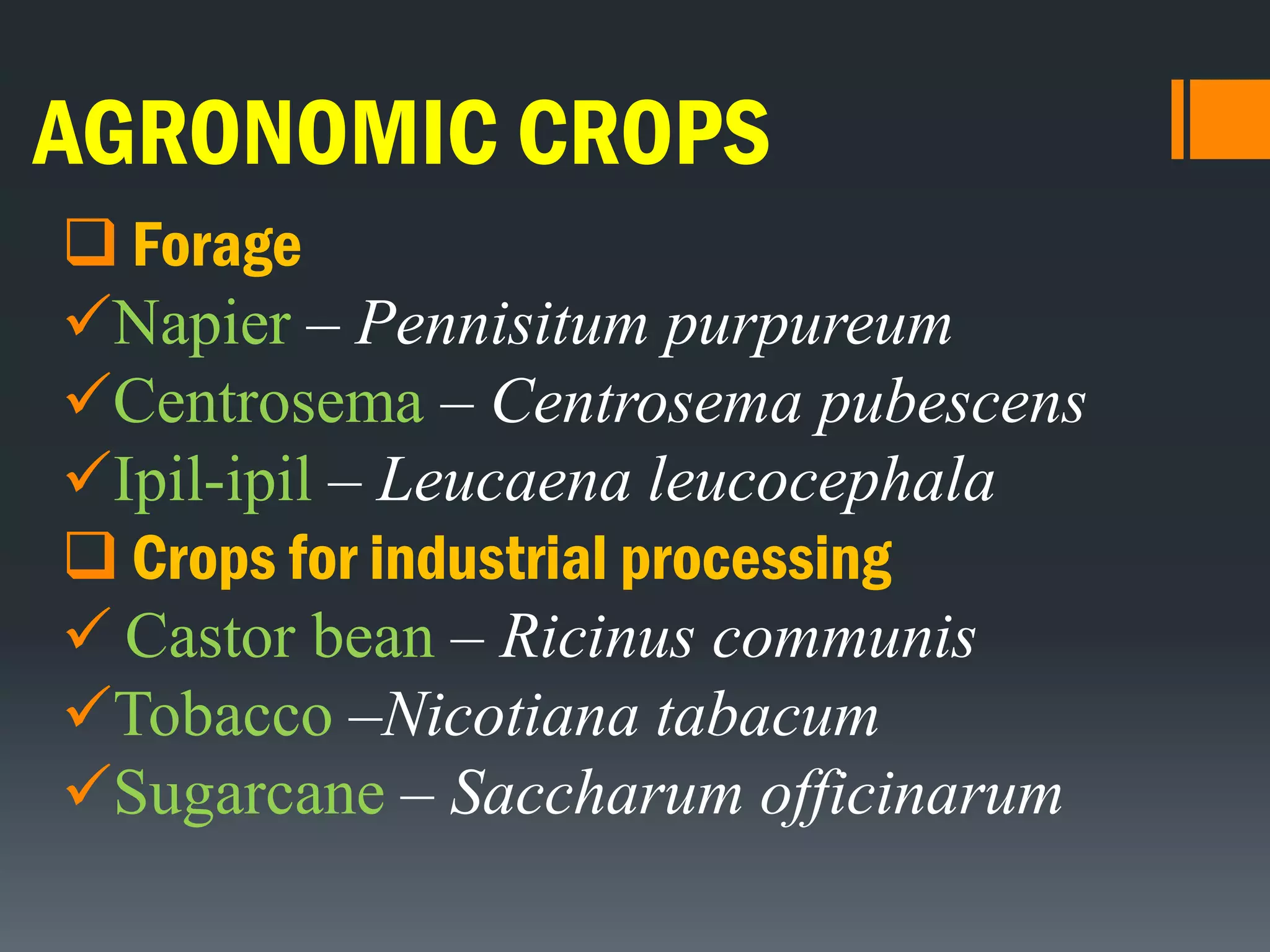 AGRONOMIC CROPS
 Forage
Napier – Pennisitum purpureum
Centrosema – Centrosema pubescens
Ipil-ipil – Leucaena leucocephala
 Crops for industrial processing
 Castor bean – Ricinus communis
Tobacco –Nicotiana tabacum
Sugarcane – Saccharum officinarum
 