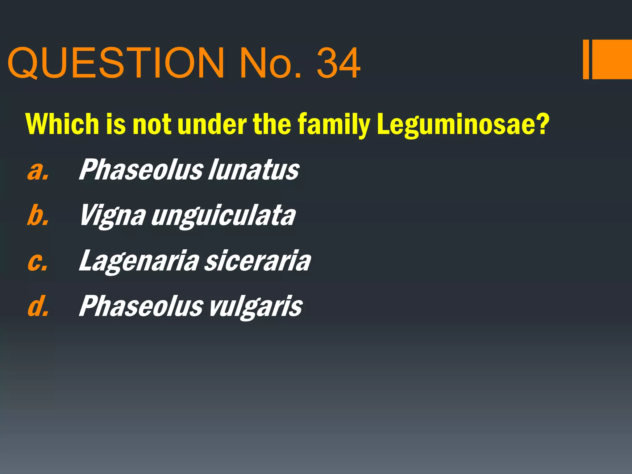 QUESTION No. 34
Which is not under the family Leguminosae?
a. Phaseolus lunatus
b. Vigna unguiculata
c. Lagenaria siceraria
d. Phaseolus vulgaris
 