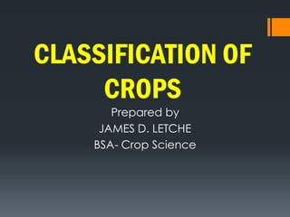CLASSIFICATION OF
CROPS
Prepared by
JAMES D. LETCHE
BSA- Crop Science
 