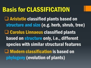 Basis for CLASSIFICATION
 Aristotle classified plants based on
structure and size (e.g. herb, shrub, tree)
 Carolus Linnaeus classified plants
based on structure only, i.e., different
species with similar structural features
 Modern classification is based on
phylogeny (evolution of plants)
 