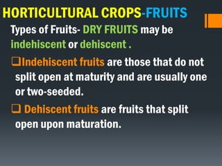 HORTICULTURAL CROPS-FRUITS
Types of Fruits- DRY FRUITS may be
indehiscent or dehiscent .
Indehiscent fruits are those that do not
split open at maturity and are usually one
or two-seeded.
 Dehiscent fruits are fruits that split
open upon maturation.
 
