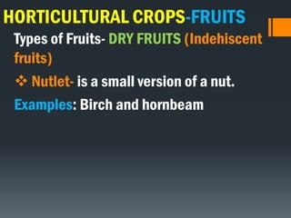 HORTICULTURAL CROPS-FRUITS
Types of Fruits- DRY FRUITS (Indehiscent
fruits)
 Nutlet- is a small version of a nut.
Examples: Birch and hornbeam
 