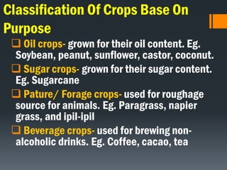 Classification Of Crops Base On
Purpose
 Oil crops- grown for their oil content. Eg.
Soybean, peanut, sunflower, castor, coconut.
 Sugar crops- grown for their sugar content.
Eg. Sugarcane
 Pature/ Forage crops- used for roughage
source for animals. Eg. Paragrass, napier
grass, and ipil-ipil
 Beverage crops- used for brewing non-
alcoholic drinks. Eg. Coffee, cacao, tea
 