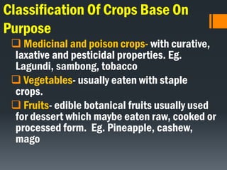Classification Of Crops Base On
Purpose
 Medicinal and poison crops- with curative,
laxative and pesticidal properties. Eg.
Lagundi, sambong, tobacco
 Vegetables- usually eaten with staple
crops.
 Fruits- edible botanical fruits usually used
for dessert which maybe eaten raw, cooked or
processed form. Eg. Pineapple, cashew,
mago
 
