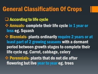 General Classification Of Crops
 According to life cycle
 Annuals- complete their life cycle in 1 year or
less eg. Squash
 Biennials- plants ordinarily require 2 years or at
least part of 2 growing seasons with a dormant
period between growth stages to complete their
life cycle eg. Carrot, cabbage, celery
 Perennials- plants that do not die after
flowering but live year to year eg. trees
 