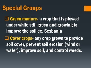 Special Groups
 Green manure- a crop that is plowed
under while still green and growing to
improve the soil eg. Sesbania
 Cover crops- any crop grown to provide
soil cover, prevent soil erosion (wind or
water), improve soil, and control weeds.
 