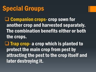 Special Groups
 Companion crops- crop sown for
another crop and harvested separately.
The combination benefits either or both
the crops.
 Trap crop- a crop which is planted to
protect the main crop from pest by
attracting the pest to the crop itself and
later destroying it.
 