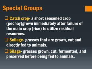 Special Groups
 Catch crop- a short seasoned crop
(pechay)grown immediately after failure of
the main crop (rice) to utilize residual
resources.
 Soilage- grasses that are grown, cut and
directly fed to animals.
 Silage- grasses grown, cut, fermented, and
preserved before being fed to animals.
 