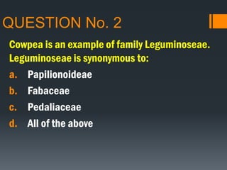 QUESTION No. 2
Cowpea is an example of family Leguminoseae.
Leguminoseae is synonymous to:
a. Papilionoideae
b. Fabaceae
c. Pedaliaceae
d. All of the above
 
